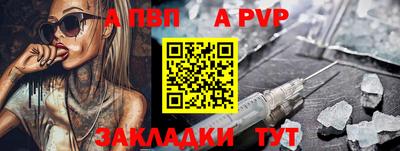 герыч Кингисепп